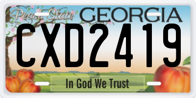 GA license plate CXD2419