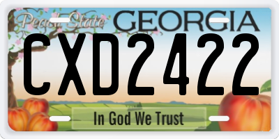 GA license plate CXD2422
