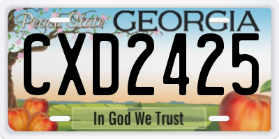 GA license plate CXD2425