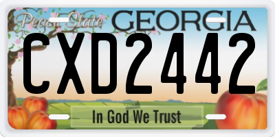GA license plate CXD2442