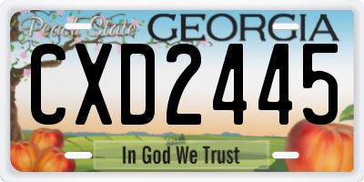 GA license plate CXD2445