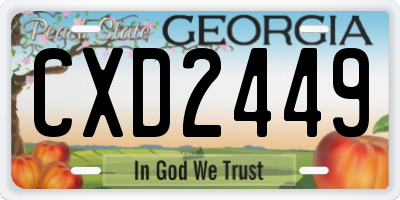 GA license plate CXD2449