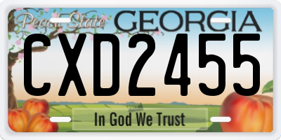 GA license plate CXD2455