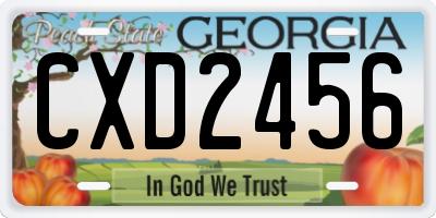 GA license plate CXD2456
