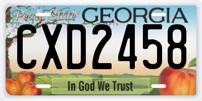GA license plate CXD2458