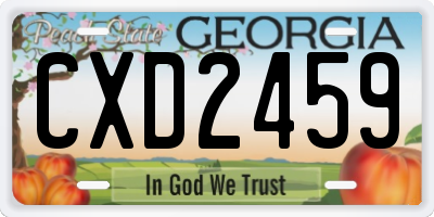 GA license plate CXD2459