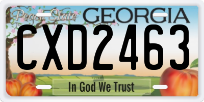 GA license plate CXD2463
