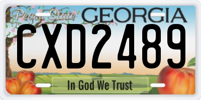 GA license plate CXD2489