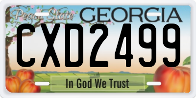 GA license plate CXD2499