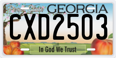 GA license plate CXD2503