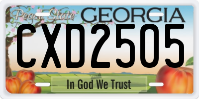 GA license plate CXD2505