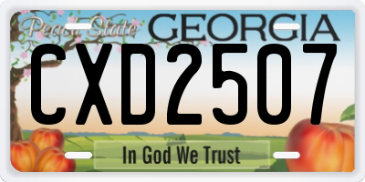 GA license plate CXD2507