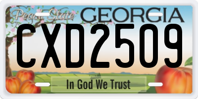 GA license plate CXD2509
