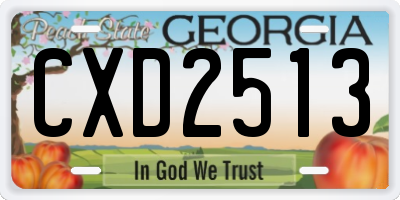 GA license plate CXD2513
