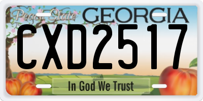 GA license plate CXD2517