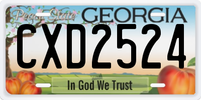 GA license plate CXD2524