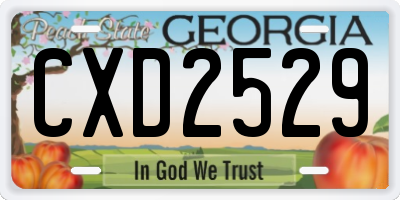 GA license plate CXD2529