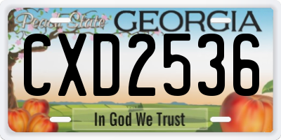 GA license plate CXD2536