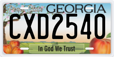 GA license plate CXD2540