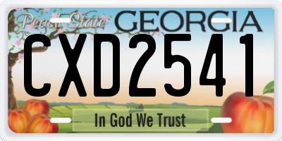 GA license plate CXD2541
