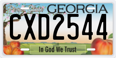 GA license plate CXD2544