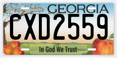 GA license plate CXD2559