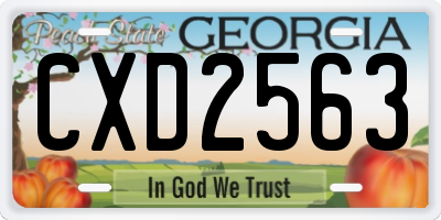 GA license plate CXD2563