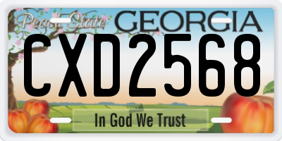 GA license plate CXD2568