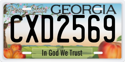 GA license plate CXD2569