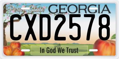 GA license plate CXD2578
