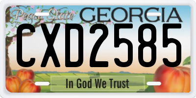 GA license plate CXD2585