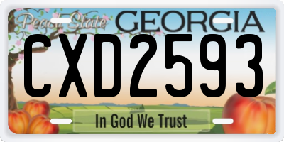 GA license plate CXD2593