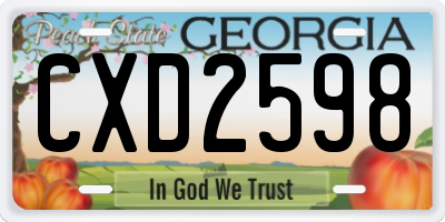 GA license plate CXD2598