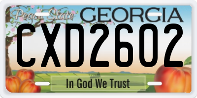 GA license plate CXD2602