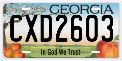 GA license plate CXD2603