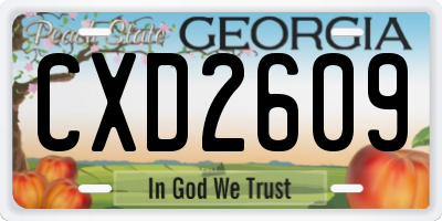 GA license plate CXD2609