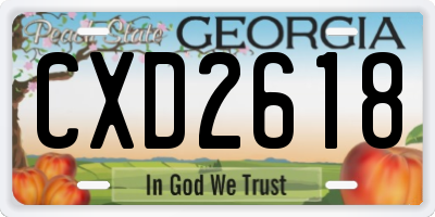 GA license plate CXD2618