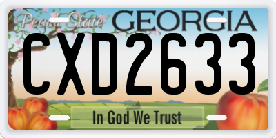 GA license plate CXD2633