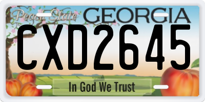 GA license plate CXD2645