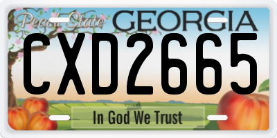 GA license plate CXD2665