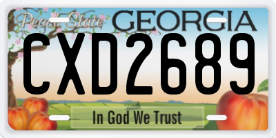 GA license plate CXD2689