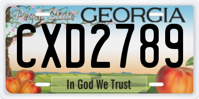 GA license plate CXD2789