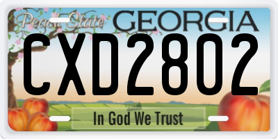GA license plate CXD2802