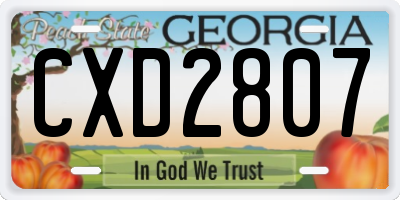 GA license plate CXD2807