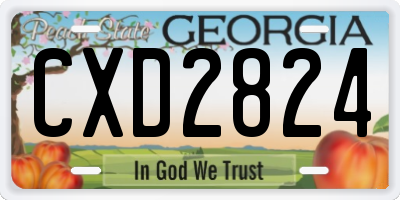 GA license plate CXD2824