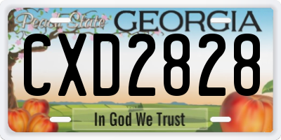 GA license plate CXD2828