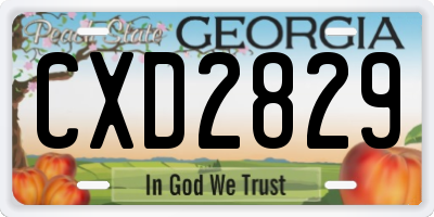 GA license plate CXD2829