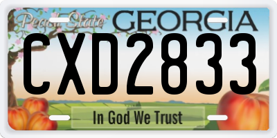 GA license plate CXD2833