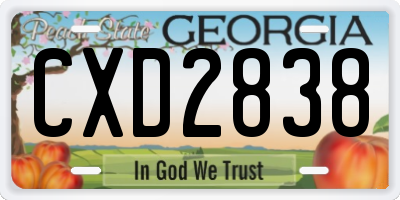 GA license plate CXD2838