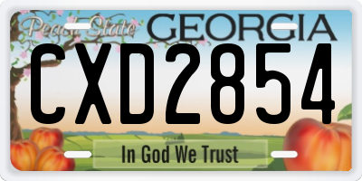 GA license plate CXD2854